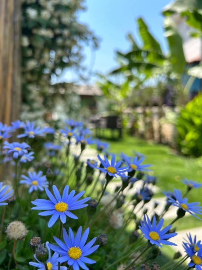 Pupa Alacati Butik Otel Çeşme Exterior foto